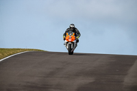 PJ-Motorsport-2019;anglesey-no-limits-trackday;anglesey-photographs;anglesey-trackday-photographs;enduro-digital-images;event-digital-images;eventdigitalimages;no-limits-trackdays;peter-wileman-photography;racing-digital-images;trac-mon;trackday-digital-images;trackday-photos;ty-croes